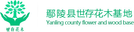 91视频APP下载