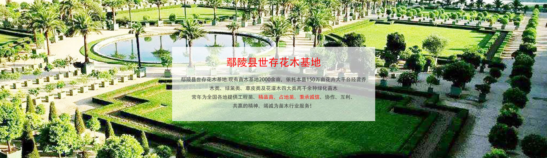91视频成人免费